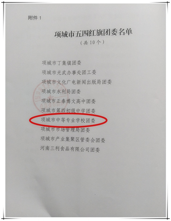 我校团委被评为2015年度项城市五四红旗团委
