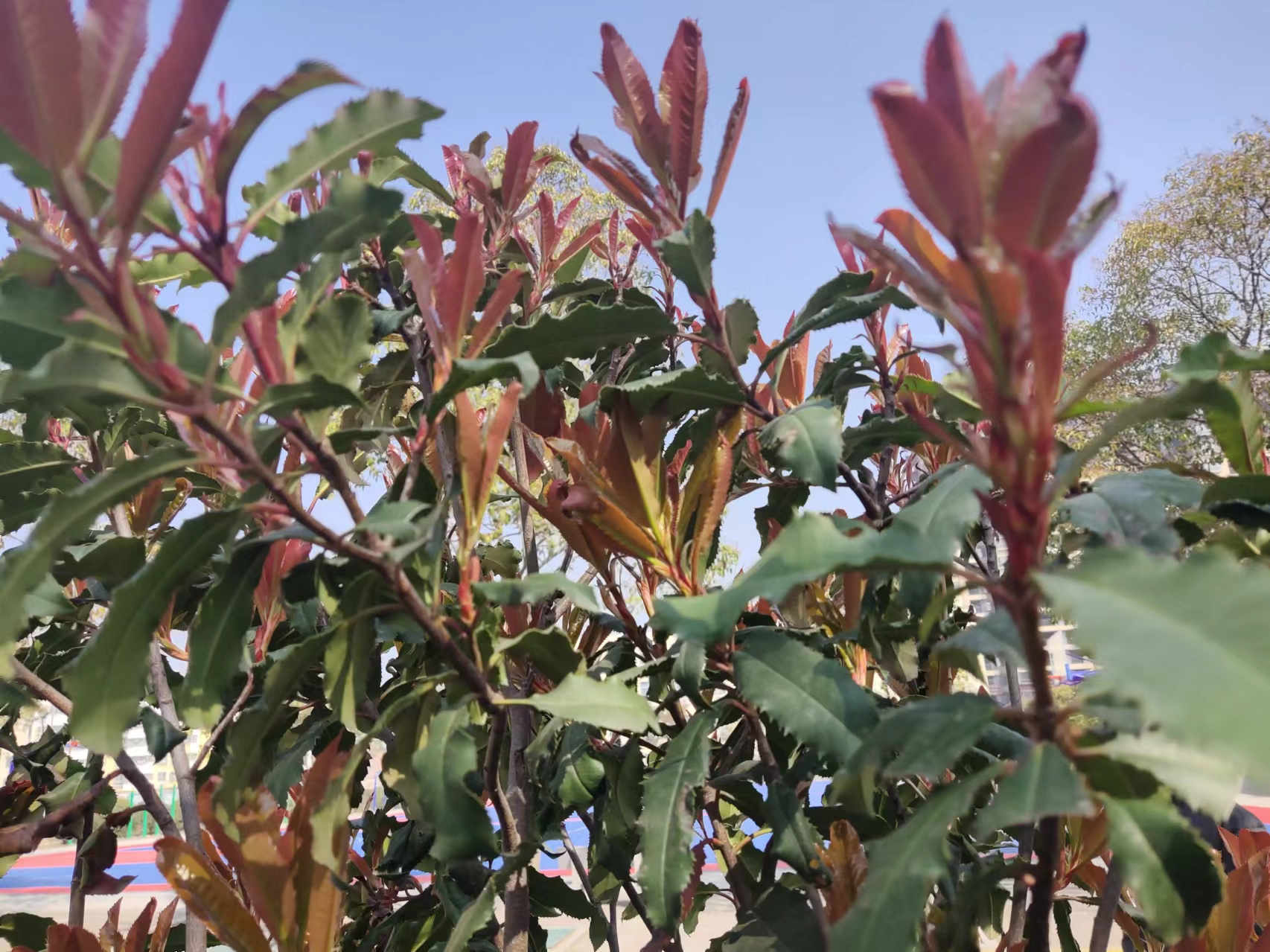 1710472392165753.jpg f2d85976de4cce857f79e2cba8df567.jpg