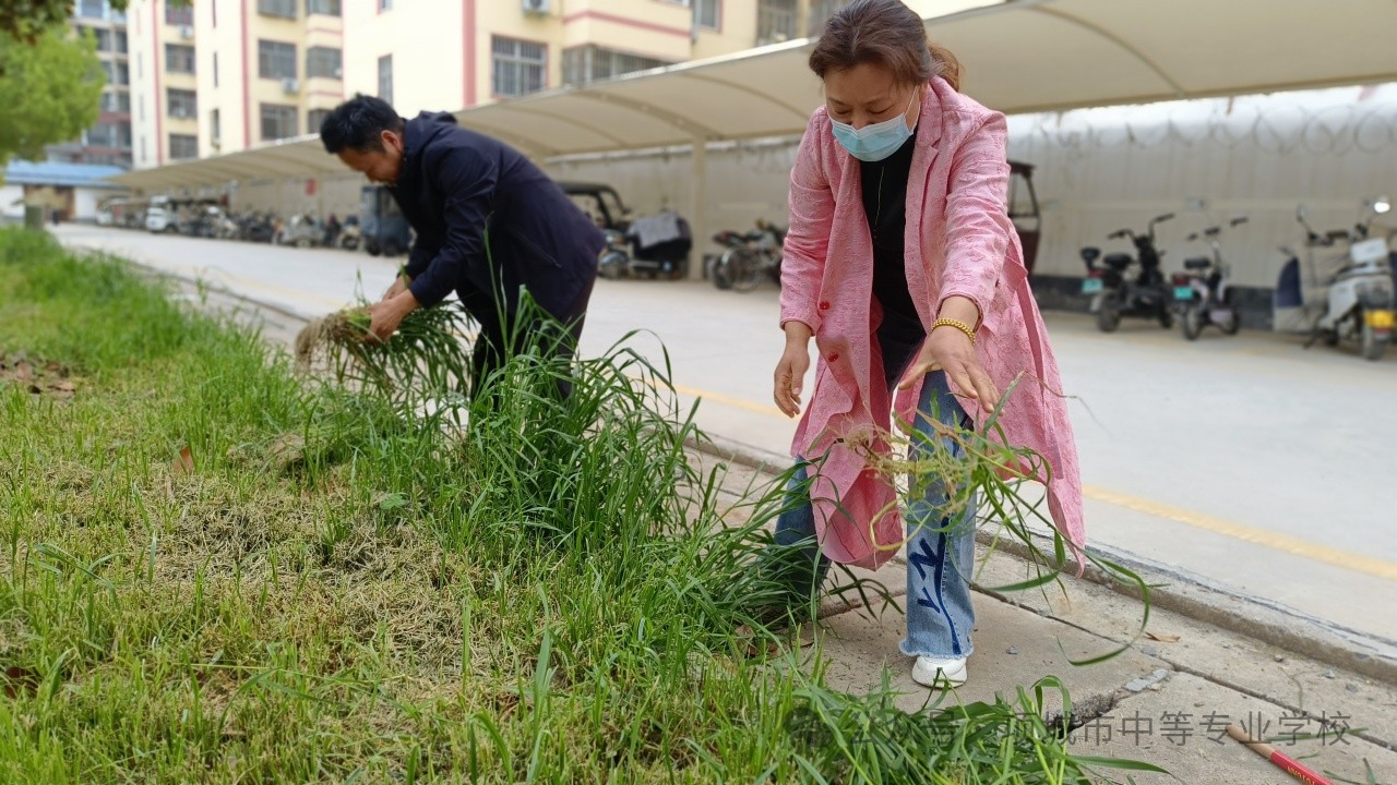 1713228584154267.png image.png